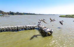 28 Paddlesteamer Drive, Milang, SA 5256