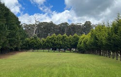 95 Blue Mount Road, Trentham, Vic 3458