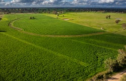 3166 Back Trundle Road, Cooks Myalls, NSW 2870