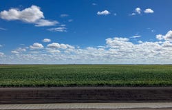 Auburn, Spring Plains, NSW 2388