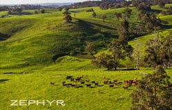 Upper Capel Road, Upper Capel, WA 6239