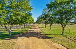 316 Newmans Lane, Tamworth, NSW 2340