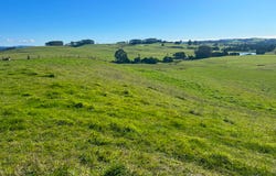 1373 Mount Hicks Road, Mount Hicks, Tas 7325
