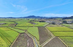 44 Gladys Road, Dumbleton, Qld 4740