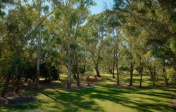 Lot 950 Hilltops Stage 9, Thurgoona, New South Wales, 2640, Thurgoona, NSW 2640