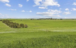 3495 Corangamite Lake Road, Beeac, Vic 3251