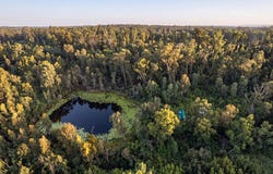 215 Martin Road, Nymboida, NSW 2460