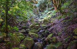 461 Upper Kangaroo River Road, Kangaroo Valley, NSW 2577