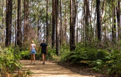 Lot 5100 The Avenues, Banya, Qld 4551