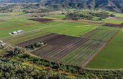 429 Mount Sylvia Road, Upper Tenthill, Qld 4343