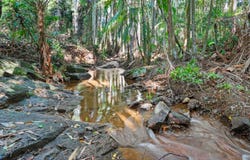 28a Geissmann Street, Tamborine Mountain, Qld 4272