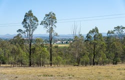 78A Fern Gully Road, Singleton, NSW 2330