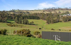 28 Celery Top Drive, St Leonards, Tas 7250