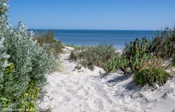 8 Winter Court, Peppermint Grove Beach, WA 6271