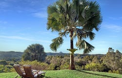 922 Cooroy Belli Creek Road, Ridgewood, Qld 4563