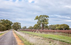 Lot 10 and 11 Ravenswood Lane, Coonawarra, SA 5263