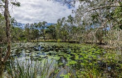 224 Masthead Drive, Agnes Water, Qld 4677