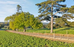 130 Morrisons Road, Springmount, Vic 3364