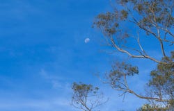 35 Holts Road, Elliminyt, Vic 3250