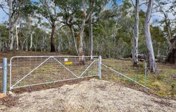 215 Golden Age Road, Grosses Plain, NSW 2627