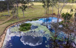2400 Summerland Way, Dilkoon, NSW 2460