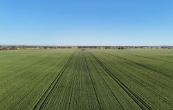 'Blyth Block' Sectio Wandel Road, Blyth, SA 5462