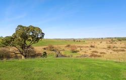619 Woodville Road, Binda, NSW 2583