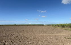 Lot 188, Lansdowne Road, Racecourse, Qld 4740