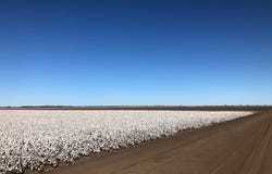 Auburn, Spring Plains, NSW 2388