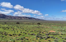 7983 Warrakimbo Rd, Emeroo, SA 5713