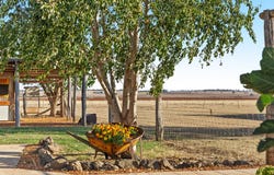 122 Spring Creek Road, Spring Creek, Qld 4361