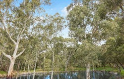 56 Mahogany Avenue, Highbury, SA 5089