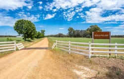 547 Culcairn Holbrook Road, Holbrook, NSW 2644