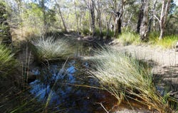 Lot 94 Fernfield Road, Deepwater, Qld 4674