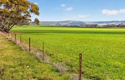 'Milde's' Keller Road, Point Pass, SA 5374