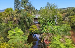 94 Ellinjaa Road, Millaa Millaa, Qld 4886