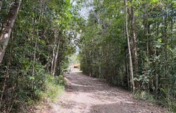 21 Whipbird Close, Speewah, Qld 4881