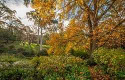 1 Nara Road, Stirling, SA 5152