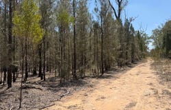50, Kimberley Drive, Cypress Gardens, Qld 4357