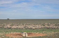 942 Baumgurtel Road, Wynarka, SA 5306