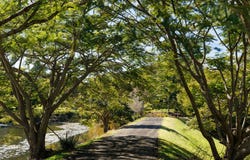32 Corniche Place, Brookfield, Qld 4069