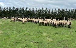 Lot 3 Grahams Road, Lancefield, Vic 3435