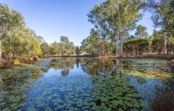 73-91 Goebels Road, Mutdapilly, Qld 4307