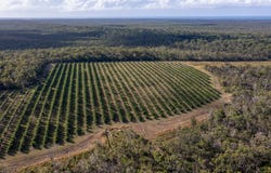 577 Boaga Road, Mullett Creek, Qld 4670