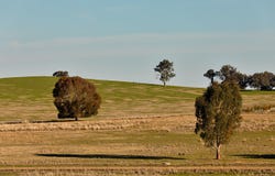2-14 Herrins Road, Rutherglen, Vic 3685