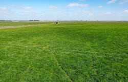 'Leigrand' Willatook-Warrong Road, Willatook, Vic 3283
