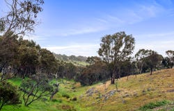 219 Archer Hill Road, Highland Valley, SA 5255