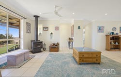 59 Ray Carter Drive, Quirindi, NSW 2343