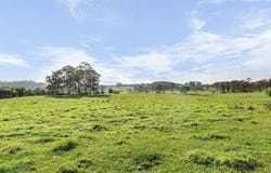 820-916 Sheepwash Road, Avoca, NSW 2577