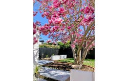 6 Carrington St, Deakin, ACT 2600